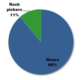 Respondents who identify themselves as divers or rock pickers