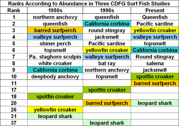 Abundance ranks of selected fishes caught by beach seine in three different CDFW studies/time periods.