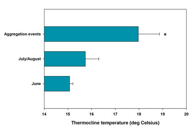 Comparison of average thermocline temperatures on the Huntington Flats in June, July, and August, and during sampling events located within barred sand bass aggregation fishing activity, 2008. Error bars represent 95% confidence intervals, the asterisk denotes a statistical difference among means.