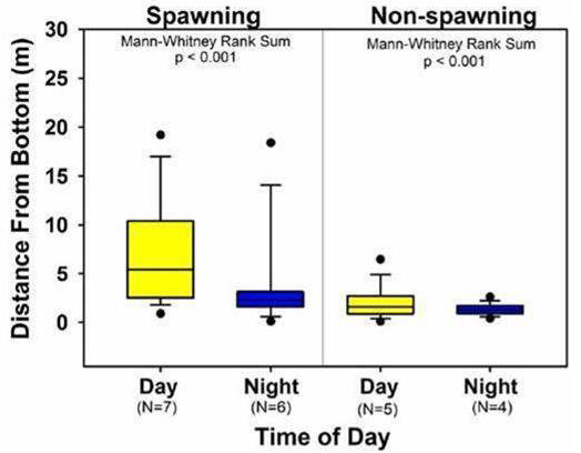 Box and whisker plots showing distance from bottom during day and night periods for both spawning and non-spawning fish.