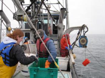 staff at work during a hagfish research vessel