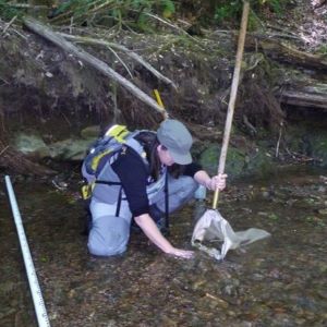 person kneeling in shallow stream, dipping net in water