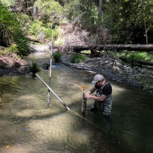 person standing chest deep in a stream placing a pole into the water