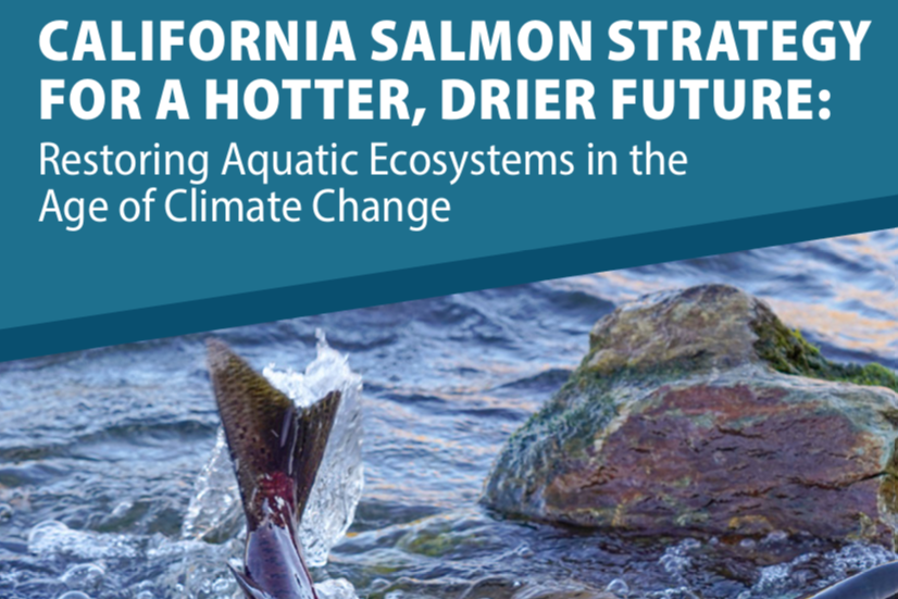 Cover page of CA Salmon Strategy