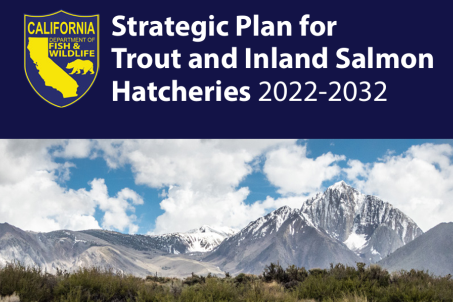 CA hatcheries strategic plan cover page